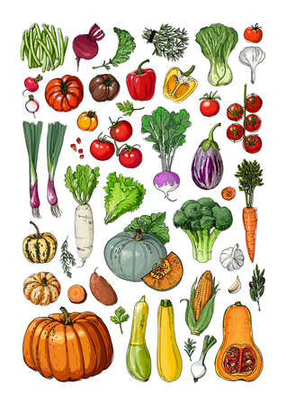 Starting from Seeds vs. Seedlings