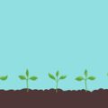 Sustainable Gardening with Bulbs: Organic Practices and Eco-Friendly Tips