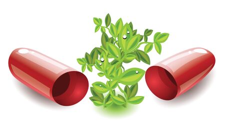 How to Build Your Own Flower Support System: Netting, Stakes & More