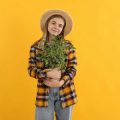 Troubleshooting Common Bulb Problems: Pests, Diseases, and Poor Blooming