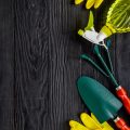 The Best Storage Practices for Winterizing Your Garden Tools