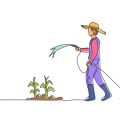 Watering Basics: How Much, How Often, and When to Water Your Garden