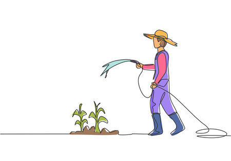 Watering Basics: How Much, How Often, and When to Water Your Garden