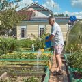 Watering Techniques and Irrigation Systems for Cut Flower Success
