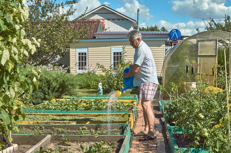 Watering Techniques and Irrigation Systems for Cut Flower Success
