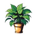 Mistakes Beginners Make When Pruning or Trimming Plants