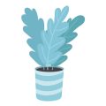 Forced Bulbs Indoors: Bringing Spring Blooms to Your Winter Home