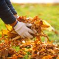 Composting Through the Seasons: Best Practicies for Year-Round Decomposition