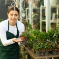 10 Easy-to-Grow Vines and Climbers for Vertical Garden Beginners