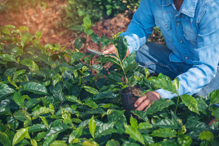 Timing is Everything: Gardening by Seasons to Maximize Yield and Minimize Cost