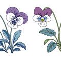 Annuals vs Perennials: Beginner’s Guide to Choosing Easy Plants