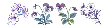 Annuals vs Perennials: Beginner’s Guide to Choosing Easy Plants