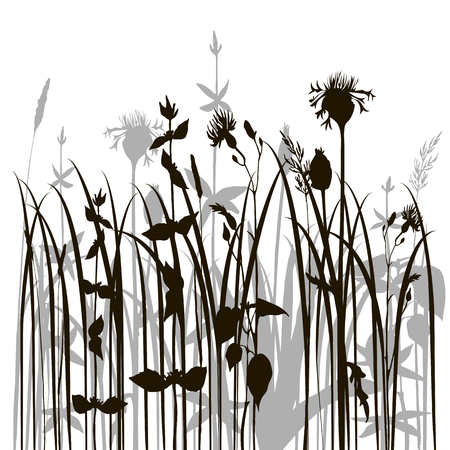 Resilient Outdoor Plants That Can Take the Heat (and the Cold)