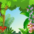 Greenhouse and Indoor Gardening Jargon Explained