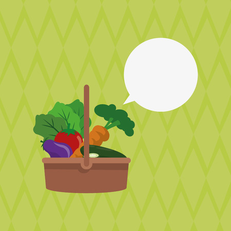 Soil Preparation and Watering Strategies