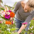 Drying and Preserving Cut Flowers: A Step-by-Step Guide