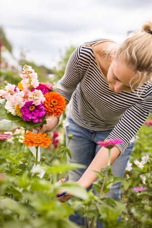 Drying and Preserving Cut Flowers: A Step-by-Step Guide
