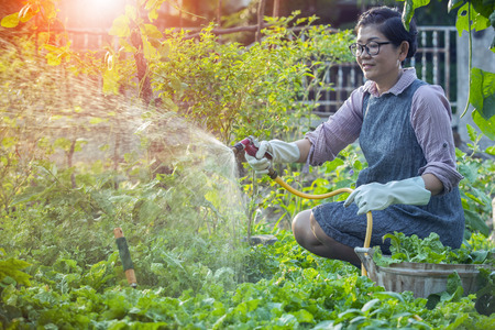 The Top 10 Mistakes to Avoid in Building and Maintaining a Pollinator Garden