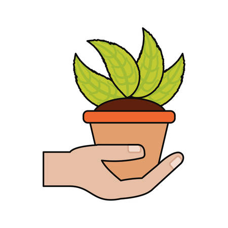 Easiest Vegetables to Grow from Seed