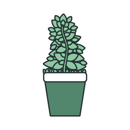 Monthly Pruning and Harvesting Tips