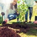 How to Make a Manual Soil Sifter Using Basic Tools and Materials