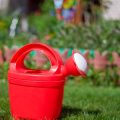 Using Noise and Light Repellents in Combination with Physical Barriers