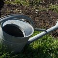 The Cost-Saving Benefits of Native Landscaping Over Time