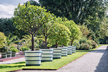 Designing Your Landscape with IPM in Mind: A Permaculture Approach