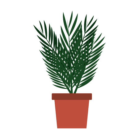 Setting Up Your Smart Herb Garden