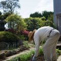 DIY Smart Gardening Projects: Build Your Own Connected Tools for Less