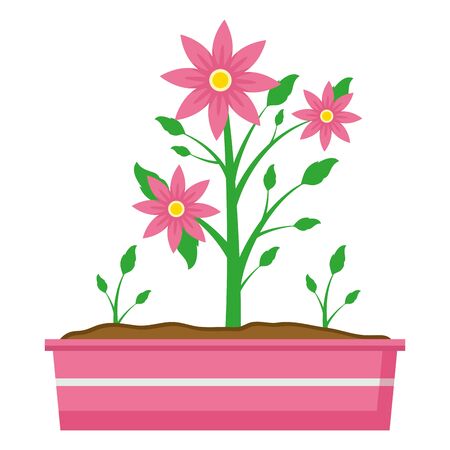 Outdoor Winners: Low-Fuss Garden Beauties