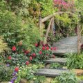 Modern Rock Garden Designs for Contemporary American Yards