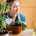 The Best Soil Mixes for Thriving Indoor Herb Plants