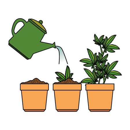Key Supplies for Plant Health