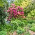 How to Child- and Pet-Proof Wildlife Barriers in Residential Gardens
