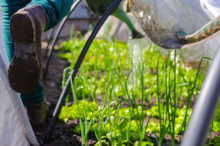 A Comprehensive Guide to Power Tools for Landscaping and Yard Maintenance