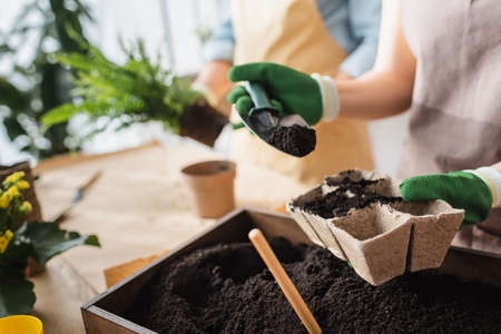 IPM for Indoor Plants: A Comprehensive Guide