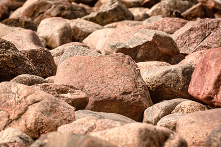The Role of Mulch, Boulders, and Pebbles in Rock Garden Aesthetics