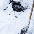 Dealing with Snow and Ice in the Garden: Smart Removal Strategies