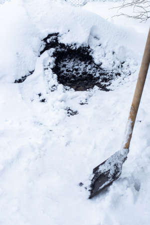 Dealing with Snow and Ice in the Garden: Smart Removal Strategies