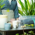 Combining Indoors and Outdoors: Year-Round Gardening with Houseplants and Containers