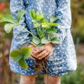 How to Keep Pests Out of Your Garden Naturally