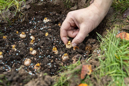 Composting in All Seasons: Tips for Year-Round Backyard Composting