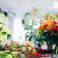 Designing a Cut Flower Garden Layout for Maximum Harvest