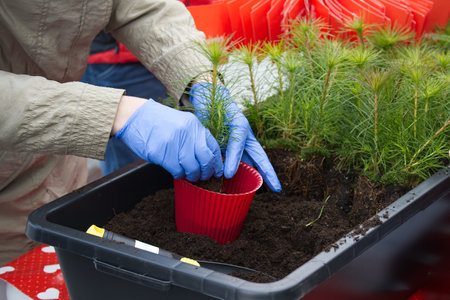 How to Diagnose Plant Fungal Diseases Using Visual and Laboratory Methods