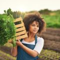 How Climate and Weather Affect IPM Decisions in American Gardens