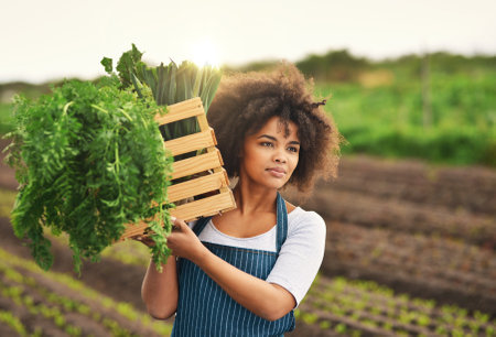 How Climate and Weather Affect IPM Decisions in American Gardens