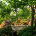 How to Create a Pollinator-Friendly Garden Without Spending a Fortune