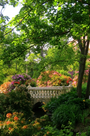 How to Create a Pollinator-Friendly Garden Without Spending a Fortune