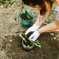 The Best Rock Types for Landscaping: A Geologic Guide for U.S. Homeowners